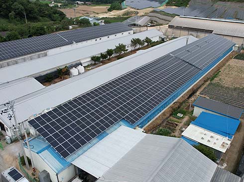 Bảng điều khiển năng lượng mặt trời Hàn Quốc Trường hợp lắp trên mái nhà 99,84kw
