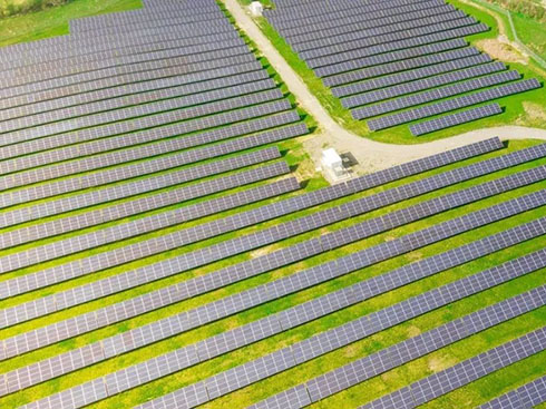 IEA cho biết nhu cầu năng lượng mặt trời toàn cầu sẽ đạt 190 GW trong năm nay
