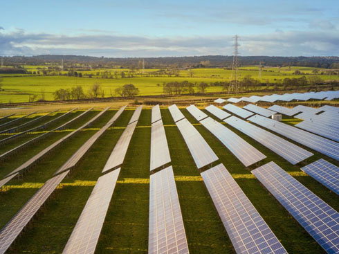 New Zealand đẩy nhanh quá trình phê duyệt dự án năng lượng mặt trời