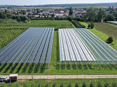 Hiệp hội Công nghiệp Quang điện Châu Âu ban hành hướng dẫn mới về quang điện nông nghiệp