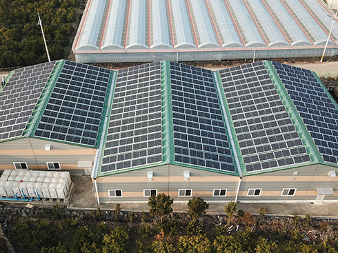 Khung lắp đặt mái nhà năng lượng mặt trời có chân chấn lưu 160KW ở Hàn Quốc